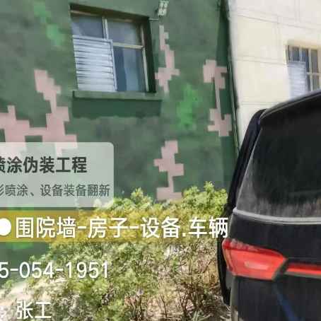 南昌数码迷彩漆施工